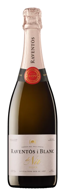 Raventos i Blanc De NIt Rosat 2022 3L